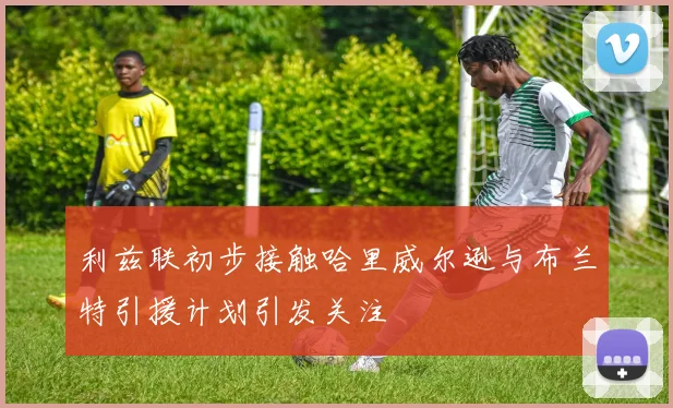 利兹联初步接触哈里威尔逊与布兰特引援计划引发关注