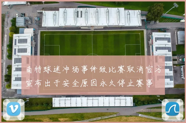 南特球迷冲场事件致比赛取消官方宣布出于安全原因永久停止赛事