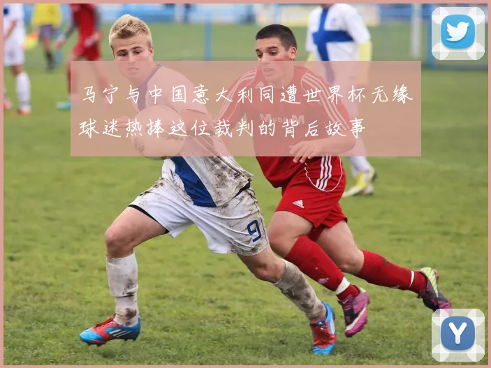 马宁与中国意大利同遭世界杯无缘球迷热捧这位裁判的背后故事