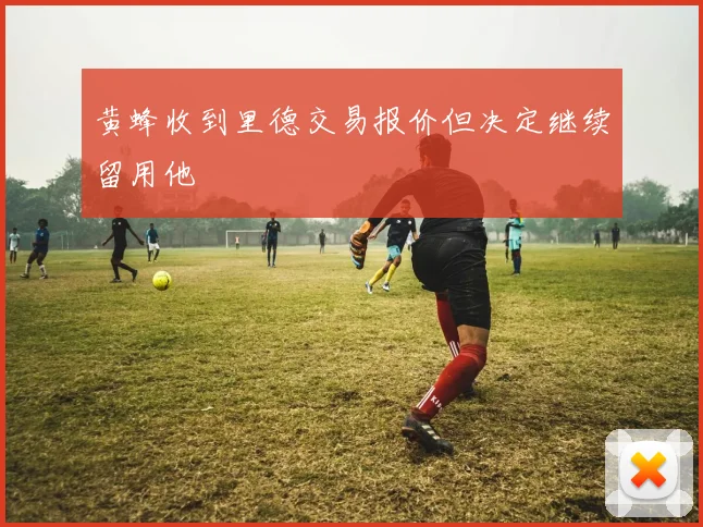 黄蜂收到里德交易报价但决定继续留用他