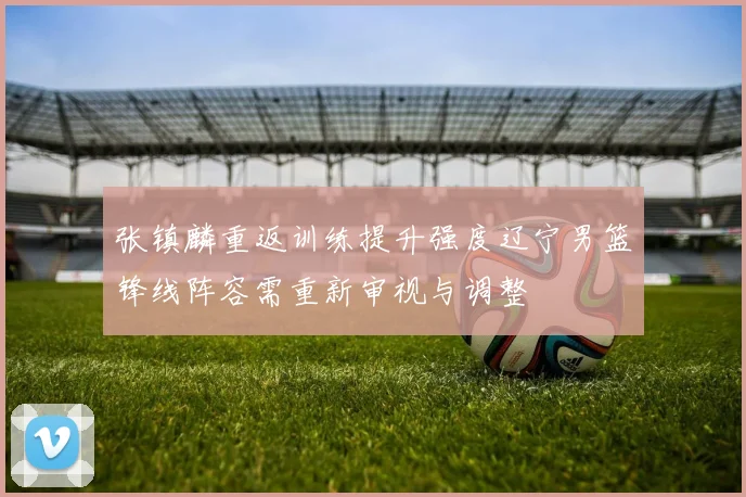张镇麟重返训练提升强度辽宁男篮锋线阵容需重新审视与调整